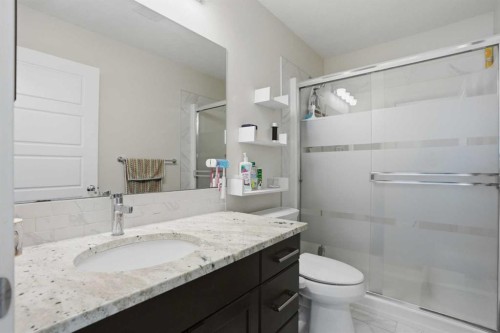 338 Red Sky Terrace Ne, Calgary, AB - Indoor Photo Showing Bathroom