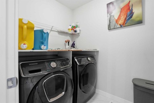 338 Red Sky Terrace Ne, Calgary, AB - Indoor Photo Showing Laundry Room
