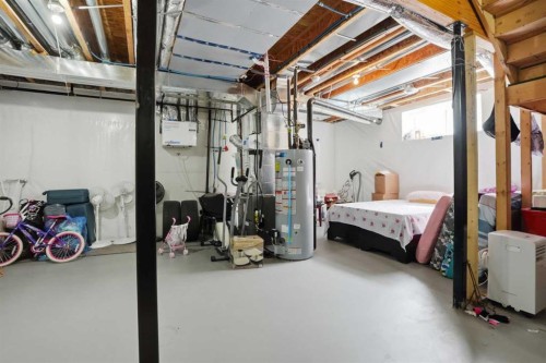 338 Red Sky Terrace Ne, Calgary, AB - Indoor Photo Showing Basement