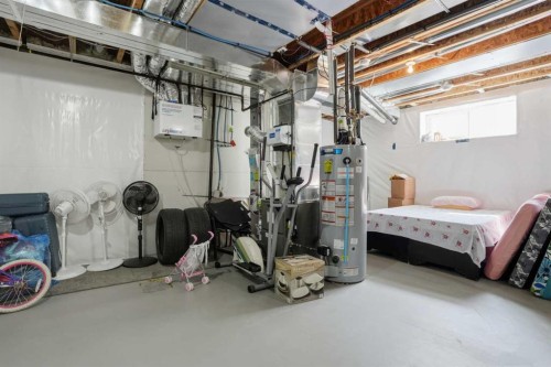 338 Red Sky Terrace Ne, Calgary, AB - Indoor Photo Showing Basement