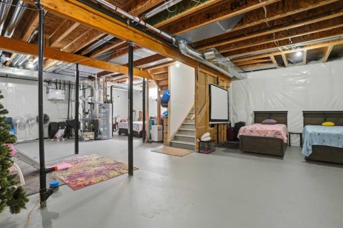 338 Red Sky Terrace Ne, Calgary, AB - Indoor Photo Showing Basement