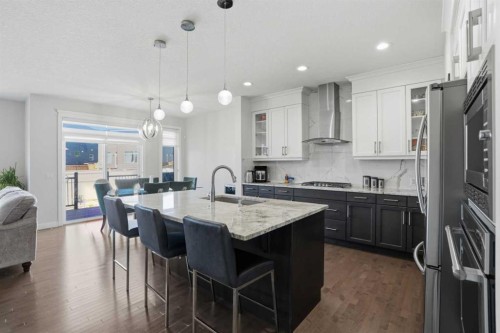 338 Red Sky Terrace Ne, Calgary, AB - Indoor Photo Showing Kitchen With Stainless Steel Kitchen With Upgraded Kitchen