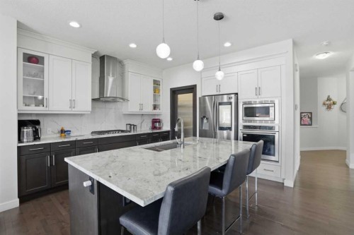 338 Red Sky Terrace Ne, Calgary, AB - Indoor Photo Showing Kitchen With Stainless Steel Kitchen With Upgraded Kitchen