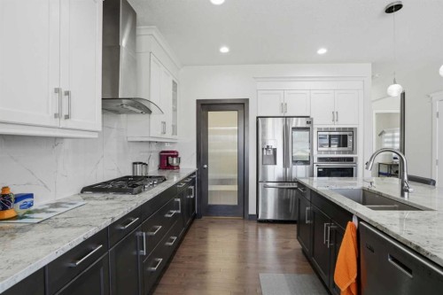 338 Red Sky Terrace Ne, Calgary, AB - Indoor Photo Showing Kitchen With Stainless Steel Kitchen With Double Sink With Upgraded Kitchen