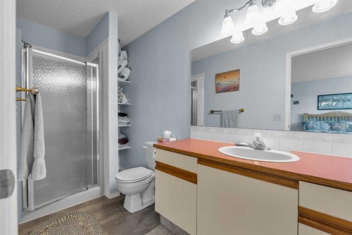 53 Shawfield Road Sw, Calgary, AB - Indoor Photo Showing Bathroom
