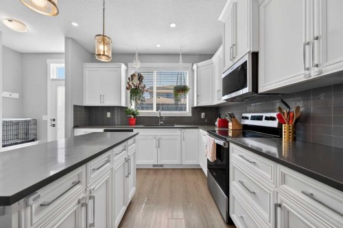 29 Skyview Parade Ne, Calgary, AB - Indoor Photo Showing Kitchen With Upgraded Kitchen