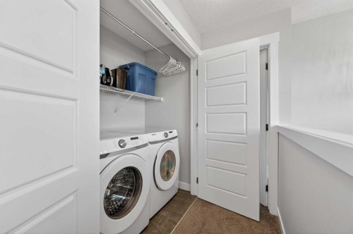 29 Skyview Parade Ne, Calgary, AB - Indoor Photo Showing Laundry Room