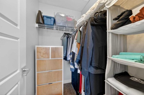 29 Skyview Parade Ne, Calgary, AB - Indoor With Storage