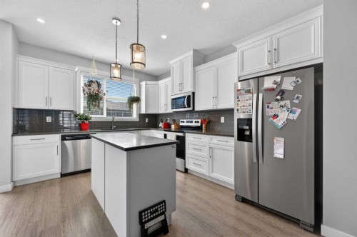 29 Skyview Parade Ne, Calgary, AB - Indoor Photo Showing Kitchen With Stainless Steel Kitchen With Upgraded Kitchen