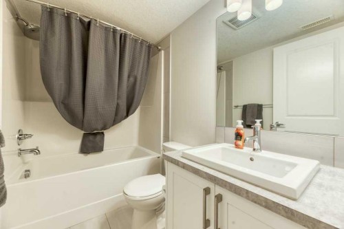 204 Sundown Road, Cochrane, AB - Indoor Photo Showing Bathroom