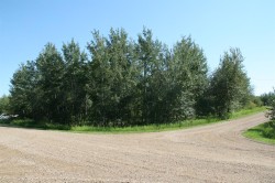 7 Buffalo Drive Rural Stettler No. 6, County Of, AB T0C 1G0