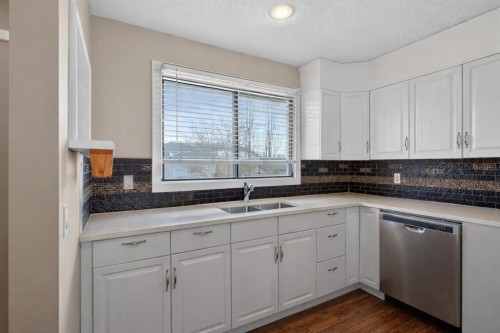 32 Fallingworth Court Ne, Calgary, AB - Indoor Photo Showing Kitchen With Double Sink