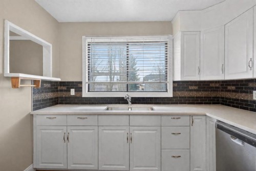 32 Fallingworth Court Ne, Calgary, AB - Indoor Photo Showing Kitchen With Double Sink