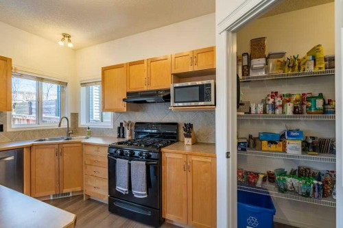 322 Rockyspring Circle Nw, Calgary, AB - Indoor Photo Showing Kitchen With Double Sink