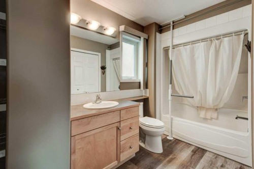 427 Copperfield Boulevard Se, Calgary, AB - Indoor Photo Showing Bathroom