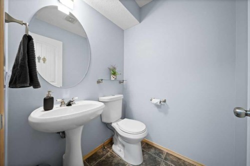 190 Brightonstone Bay Se, Calgary, AB - Indoor Photo Showing Bathroom