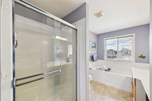 190 Brightonstone Bay Se, Calgary, AB - Indoor Photo Showing Bathroom