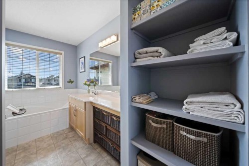 190 Brightonstone Bay Se, Calgary, AB - Indoor Photo Showing Bathroom