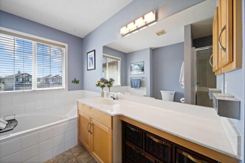 190 Brightonstone Bay Se, Calgary, AB - Indoor Photo Showing Bathroom