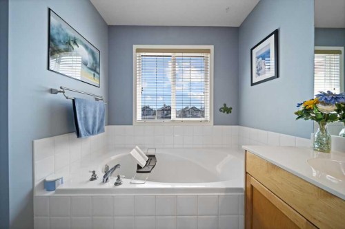 190 Brightonstone Bay Se, Calgary, AB - Indoor Photo Showing Bathroom