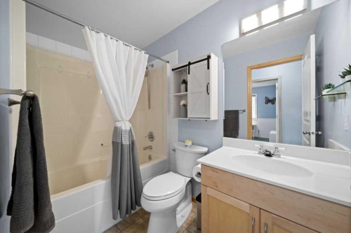 190 Brightonstone Bay Se, Calgary, AB - Indoor Photo Showing Bathroom