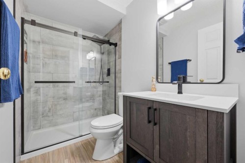 1198 Kingston Crescent Se, Airdrie, AB - Indoor Photo Showing Bathroom