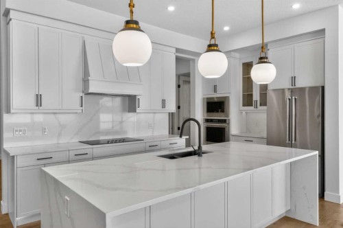 380 Watercrest Place, Chestermere, AB - Indoor Photo Showing Kitchen With Upgraded Kitchen