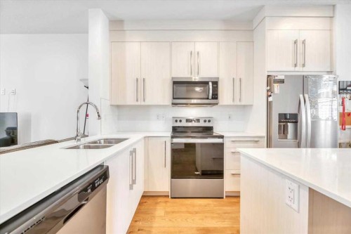 310-669 Savanna Boulevard Ne, Calgary, AB - Indoor Photo Showing Kitchen With Double Sink With Upgraded Kitchen