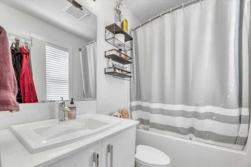 310-669 Savanna Boulevard Ne, Calgary, AB - Indoor Photo Showing Bathroom