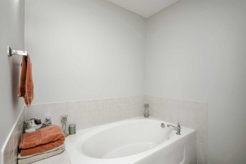 103 Bridle Estates Mews Sw, Calgary, AB - Indoor Photo Showing Bathroom