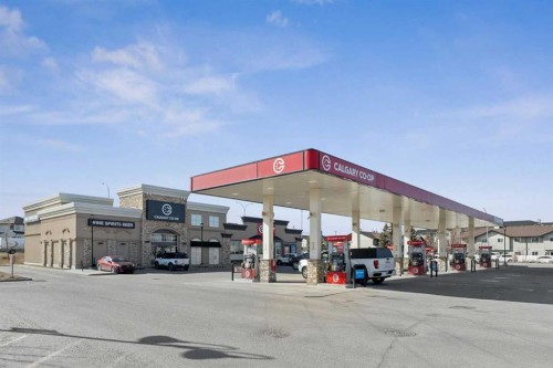 144 Canals Circle Sw, Airdrie, AB - Outdoor