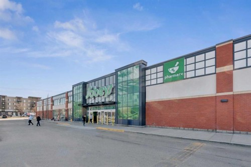 144 Canals Circle Sw, Airdrie, AB - Outdoor