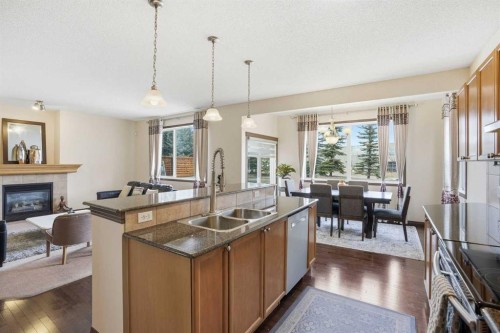 6 Springborough Green Sw, Calgary, AB - Indoor Photo Showing Kitchen With Fireplace With Double Sink
