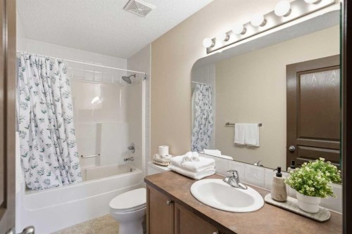 6 Springborough Green Sw, Calgary, AB - Indoor Photo Showing Bathroom