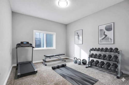 3 Muirfield Close, Lyalta, AB - Indoor Photo Showing Gym Room