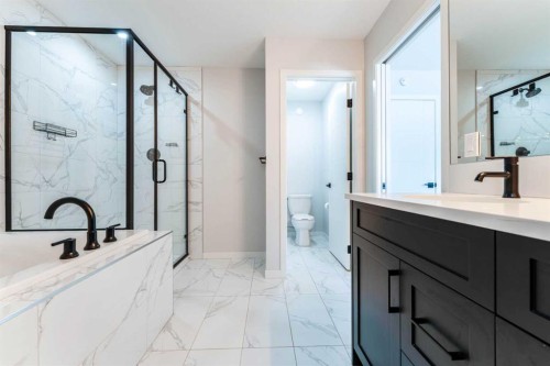 13 Calhoun Crescent Ne, Calgary, AB - Indoor Photo Showing Bathroom