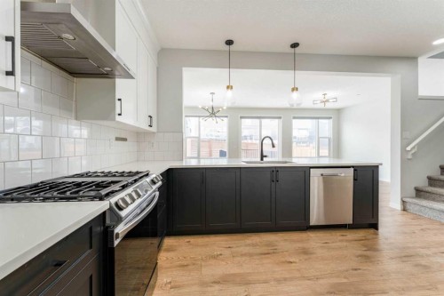 13 Calhoun Crescent Ne, Calgary, AB - Indoor Photo Showing Kitchen With Stainless Steel Kitchen With Upgraded Kitchen