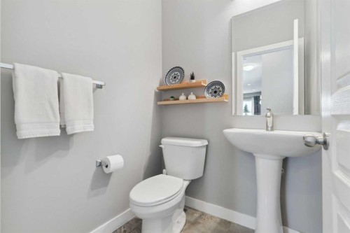 66 Skyview Ranch Crescent Ne, Calgary, AB - Indoor Photo Showing Bathroom