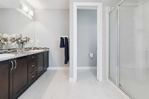 66 Skyview Ranch Crescent Ne, Calgary, AB - Indoor Photo Showing Bathroom