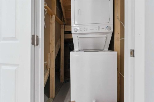 66 Skyview Ranch Crescent Ne, Calgary, AB - Indoor Photo Showing Laundry Room