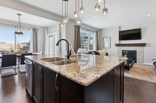 66 Skyview Ranch Crescent Ne, Calgary, AB - Indoor Photo Showing Kitchen With Double Sink With Upgraded Kitchen