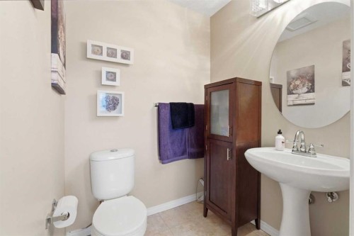 107 Skyview Springs Manor Ne, Calgary, AB - Indoor Photo Showing Bathroom