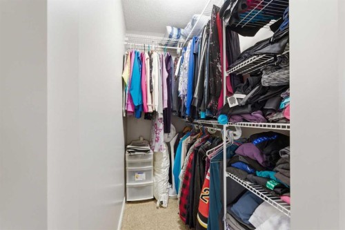 107 Skyview Springs Manor Ne, Calgary, AB - Indoor With Storage