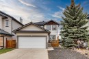 87 Cimarron Meadows Way, Okotoks, AB  - Outdoor 