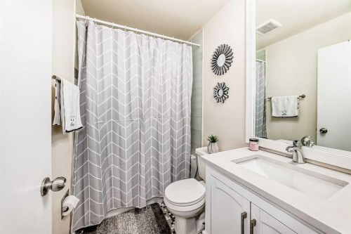 132 Whiteview Close Ne, Calgary, AB - Indoor Photo Showing Bathroom