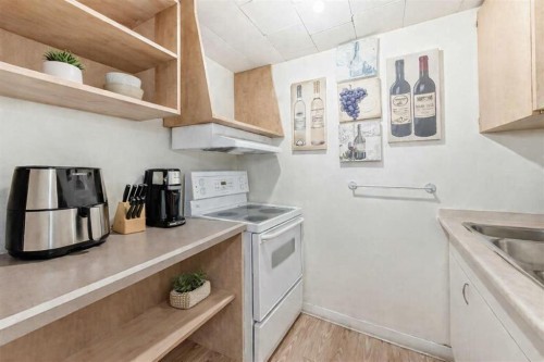 132 Whiteview Close Ne, Calgary, AB - Indoor Photo Showing Kitchen With Double Sink