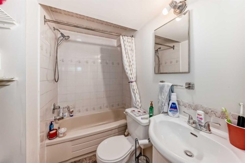 132 Whiteview Close Ne, Calgary, AB - Indoor Photo Showing Bathroom