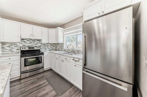 132 Whiteview Close Ne, Calgary, AB - Indoor Photo Showing Kitchen With Stainless Steel Kitchen With Double Sink With Upgraded Kitchen