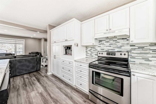 132 Whiteview Close Ne, Calgary, AB - Indoor Photo Showing Kitchen With Upgraded Kitchen