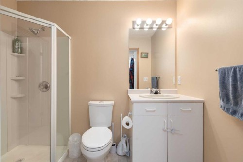 135 Covewood Close Ne, Calgary, AB - Indoor Photo Showing Bathroom